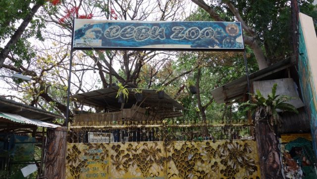 セブ動物園（Cebu Zoo）
