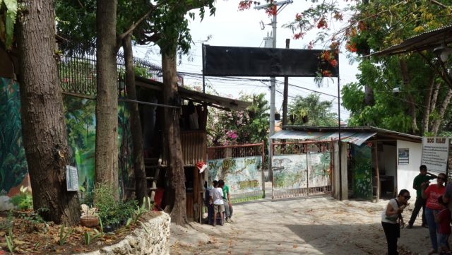 セブ動物園（Cebu Zoo）