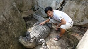 セブ動物園（Cebu Zoo）ワニ