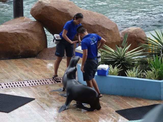 マニラオーシャンパーク