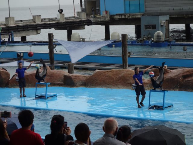 マニラオーシャンパーク