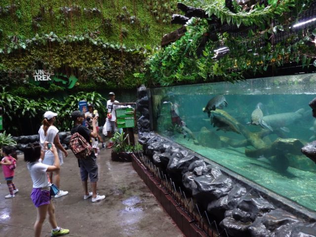 マニラオーシャンパーク