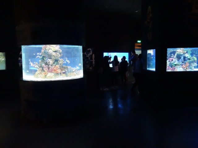 マニラオーシャンパーク