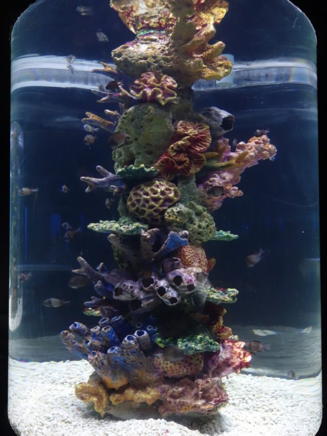 マニラオーシャンパーク