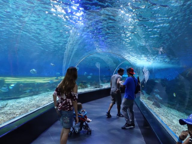 マニラオーシャンパーク