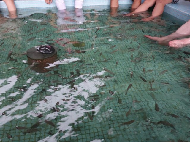 マニラオーシャンパーク