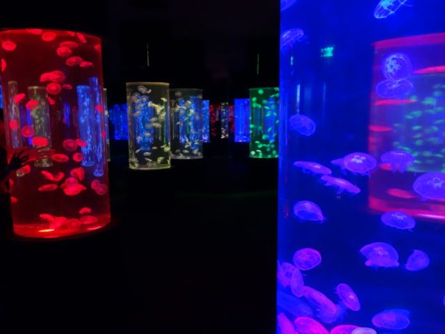 マニラオーシャンパーク