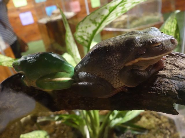 マニラオーシャンパーク