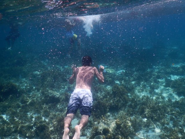 ナルスアン島 シュノーケリング