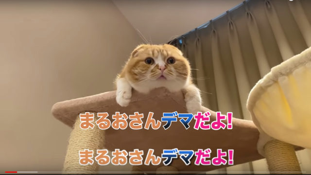 全体.00_00_23_23.静止画005