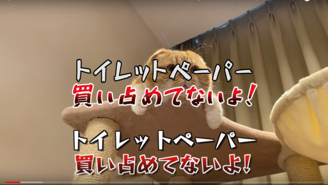 全体.00_00_28_10.静止画007