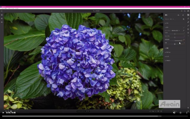 Lightroom_スクリーンショット 2020-05-05 8.44.26