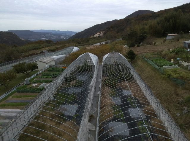 ビニールハウス