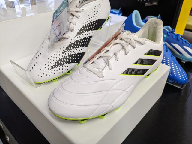 セントラルマリーナ